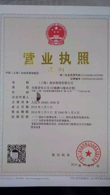 【上海崇明 -财务代理记账-特殊行业办理-保险代办注册】价格_厂家_图片